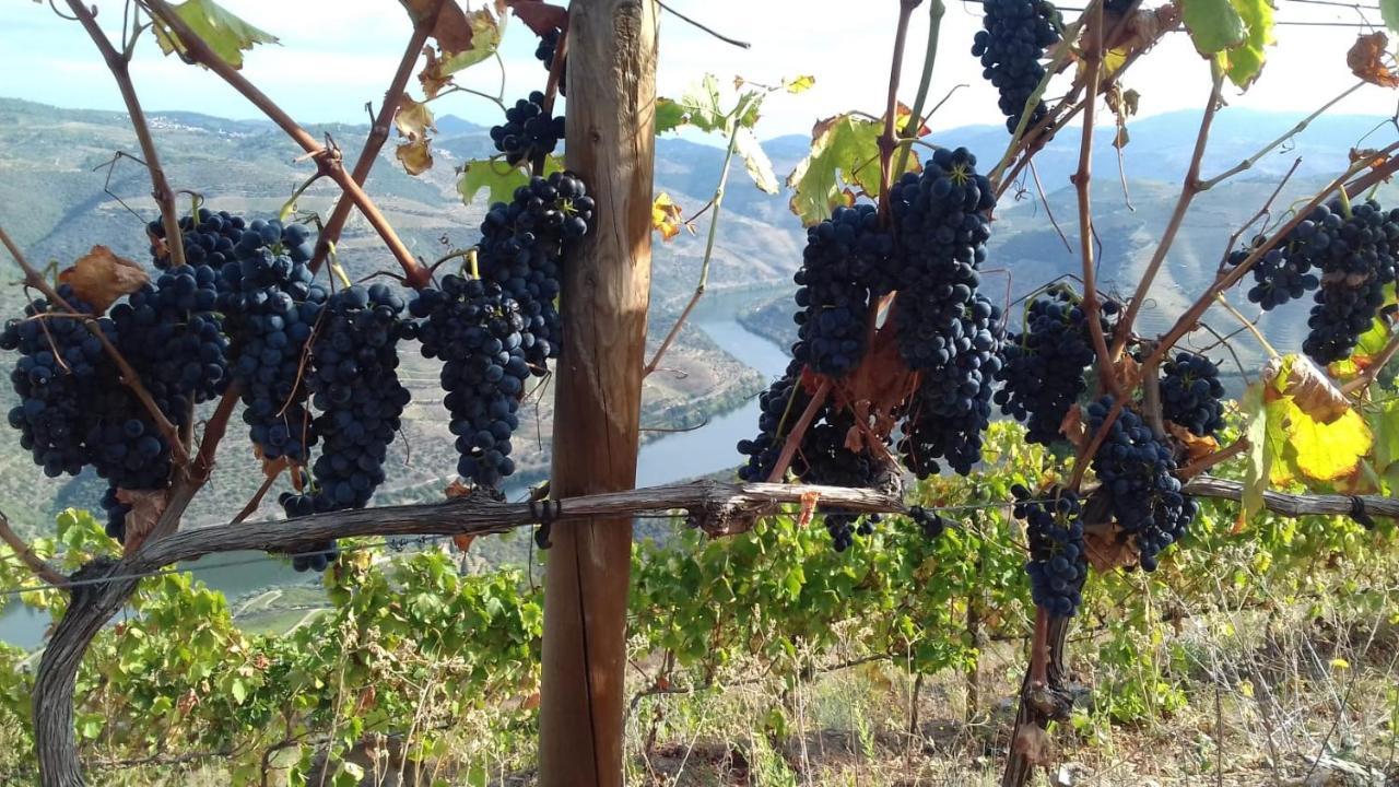 Ervedosa do Douro Stay At The Winemaker المظهر الخارجي الصورة