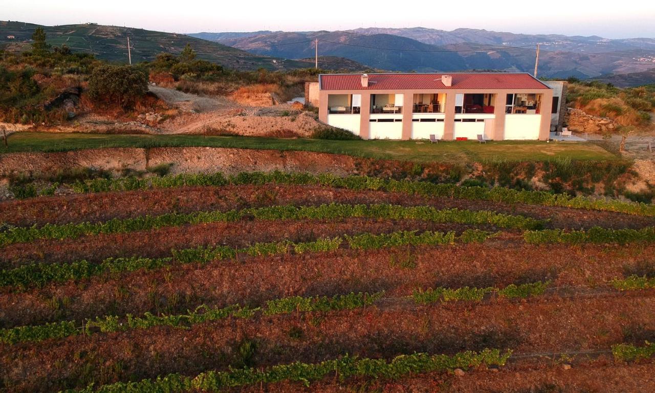 Ervedosa do Douro Stay At The Winemaker المظهر الخارجي الصورة